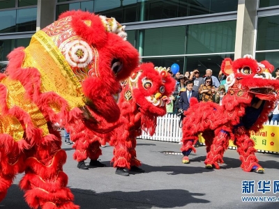 新西蘭總理參加當地華人賀鼠年新春活動(dòng)